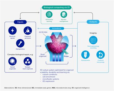Coding the deep learning revolution andy thomas sales pdf